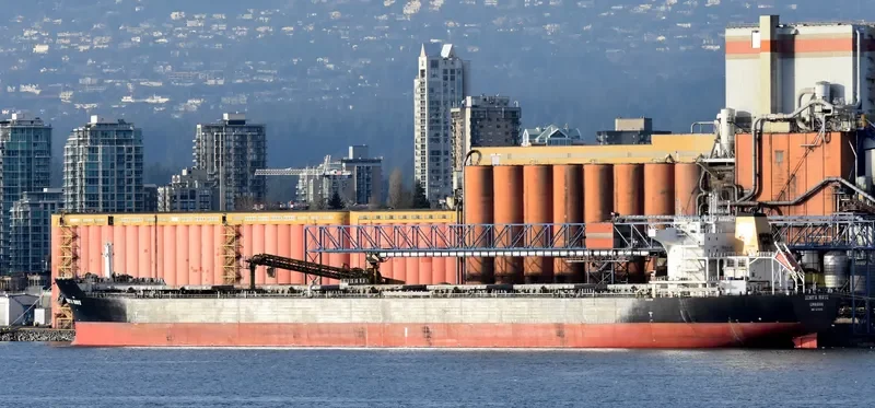 DENITA WAVE Bulk Carrier IMO 9476458 photo 10