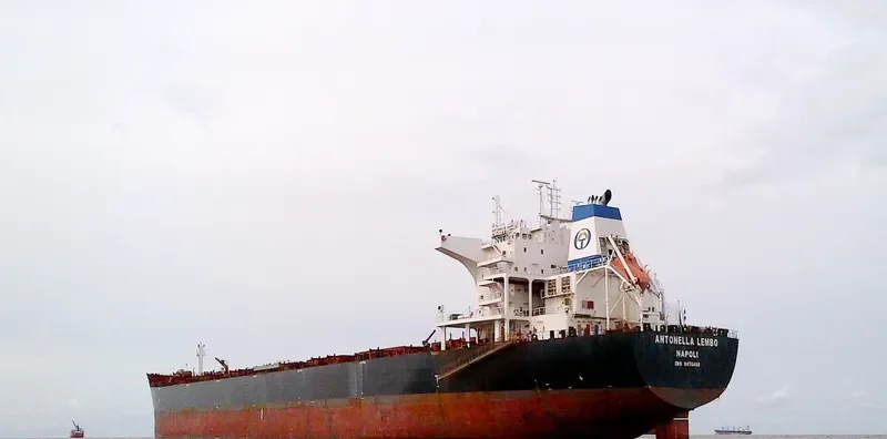 ANTONELLA LEMBO Bulk Carrier IMO 9476460 photo 3