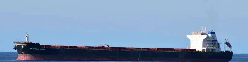 ANTONELLA LEMBO Bulk Carrier IMO 9476460 photo 7