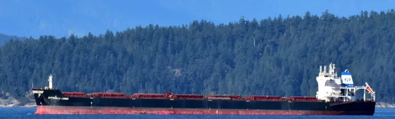 ANTONELLA LEMBO Bulk Carrier IMO 9476460 photo 8