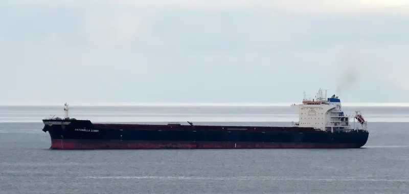 ANTONELLA LEMBO Bulk Carrier IMO 9476460 photo 9