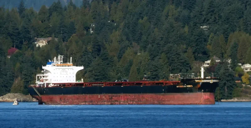 ANTONELLA LEMBO Bulk Carrier IMO 9476460 photo 10