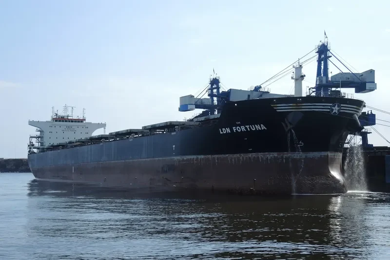 LDN FORTUNA Bulk Carrier IMO 9476472 photo 2