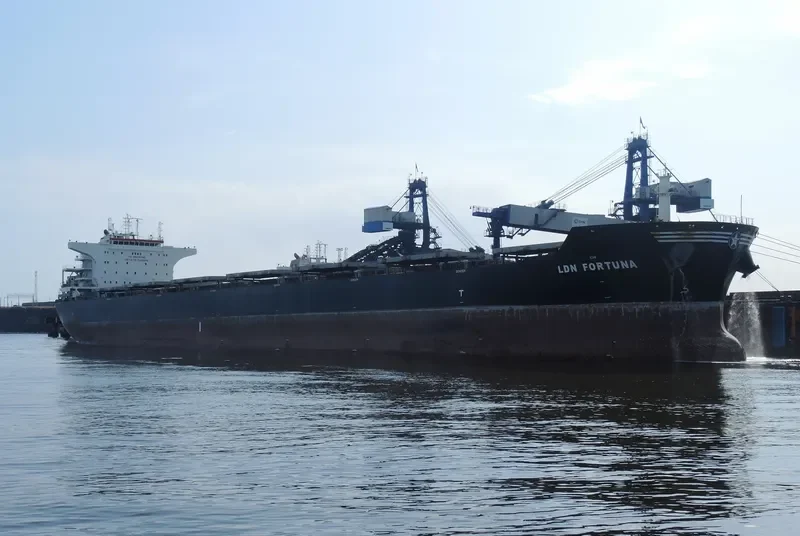LDN FORTUNA Bulk Carrier IMO 9476472 photo 3