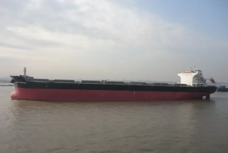 LDN FORTUNA Bulk Carrier IMO 9476472 photo 6