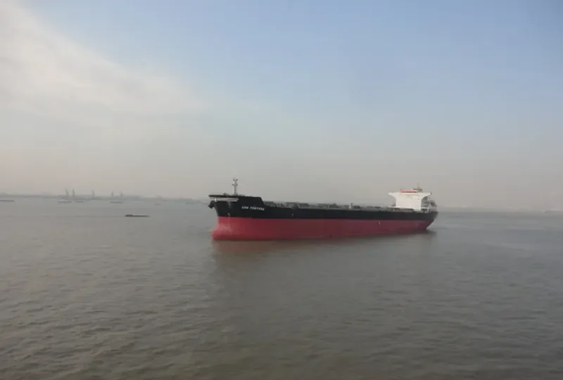 LDN FORTUNA Bulk Carrier IMO 9476472 photo 7