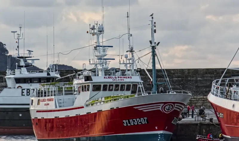 ALBELO PRIMERO General Cargo IMO 9476513
