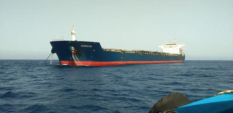 CHINOOK Bulk Carrier IMO 9476537