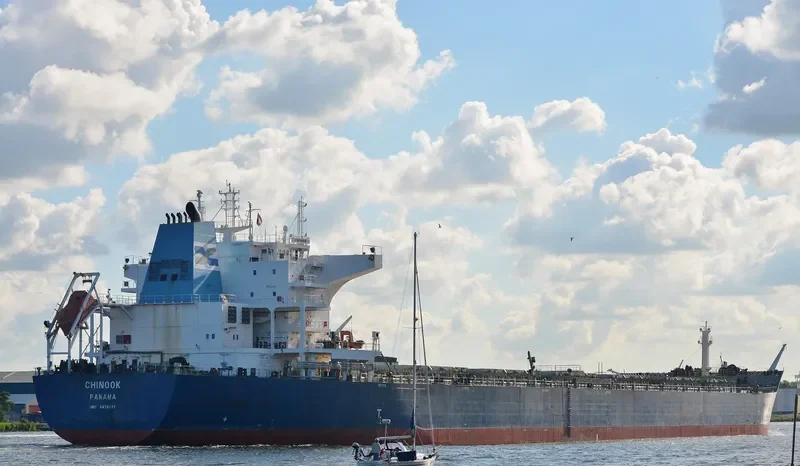 CHINOOK Bulk Carrier IMO 9476537 photo 2