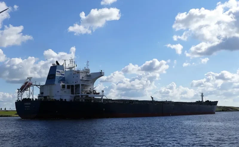 CHINOOK Bulk Carrier IMO 9476537 photo 3
