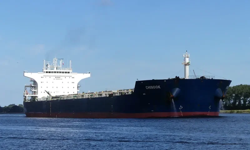 CHINOOK Bulk Carrier IMO 9476537 photo 4
