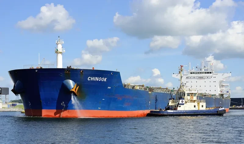 CHINOOK Bulk Carrier IMO 9476537 photo 6
