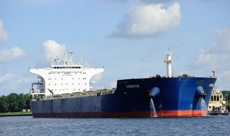 CHINOOK Bulk Carrier IMO 9476537 photo 8