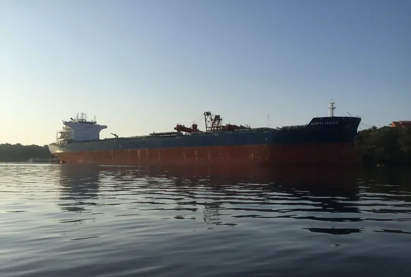 CHINOOK Bulk Carrier IMO 9476537 photo 10