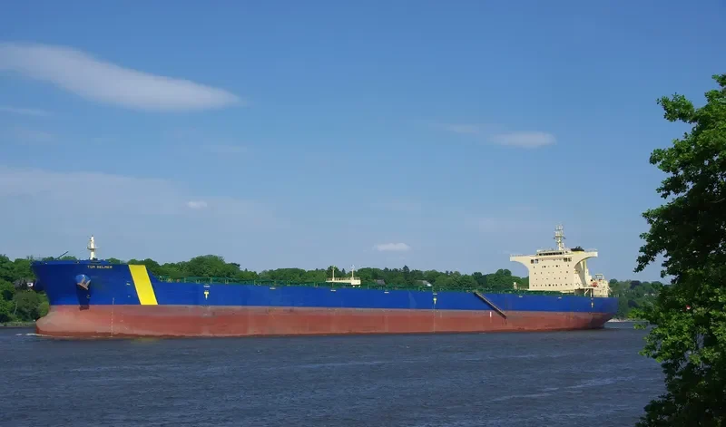 MINERAL BRUSSEL Bulk Carrier IMO 9476630 photo 8