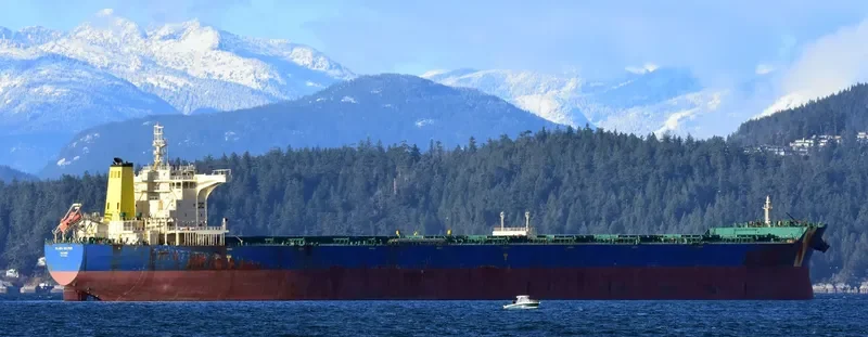 KOUNDOUROS Bulk Carrier IMO 9476642