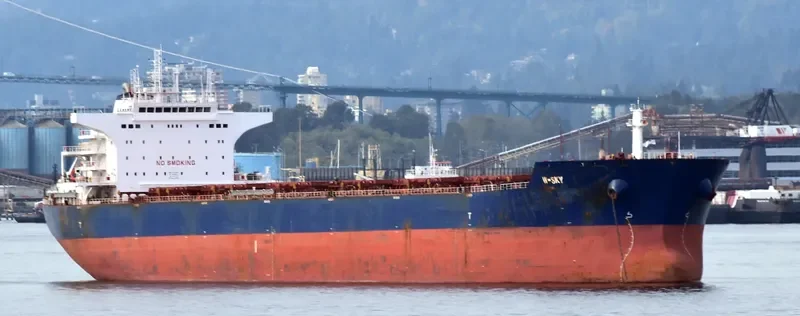 W SKY Bulk Carrier IMO 9476666 photo 2