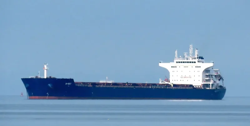 W SKY Bulk Carrier IMO 9476666 photo 5