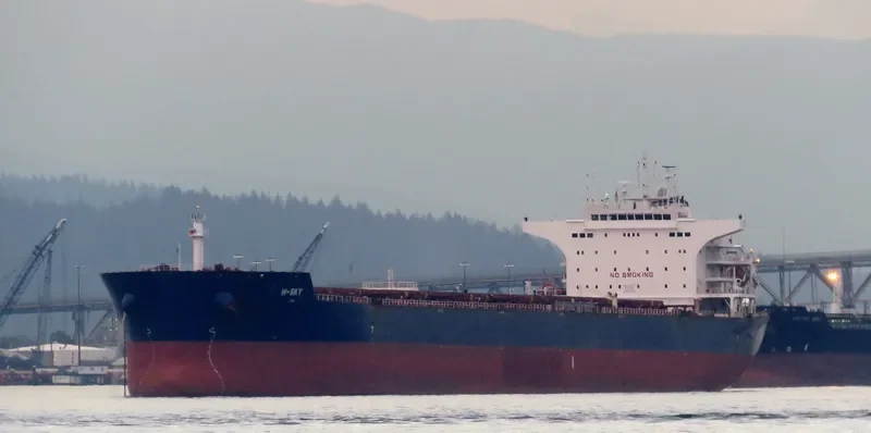 W SKY Bulk Carrier IMO 9476666 photo 6