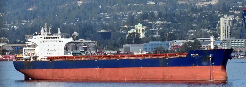 W STAR Bulk Carrier IMO 9476678 photo 2