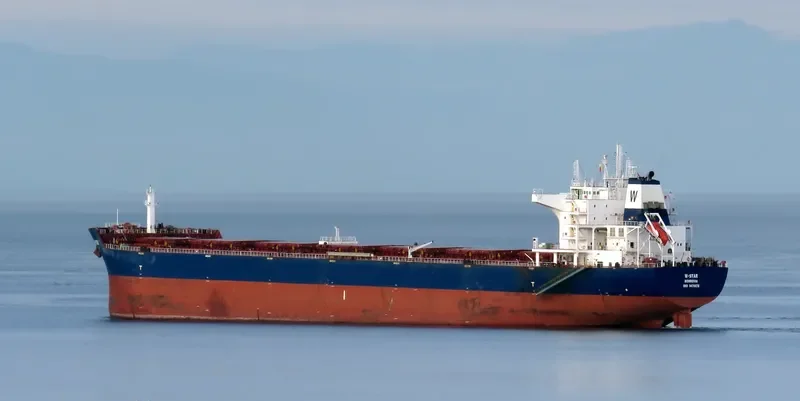 W STAR Bulk Carrier IMO 9476678 photo 3