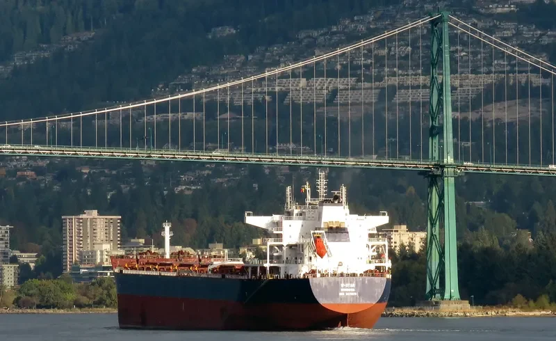 W STAR Bulk Carrier IMO 9476678 photo 4