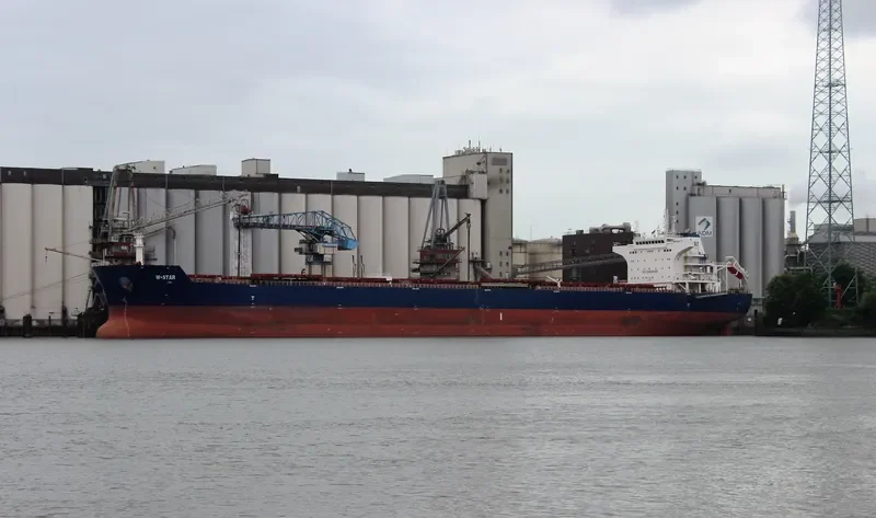 W STAR Bulk Carrier IMO 9476678 photo 10