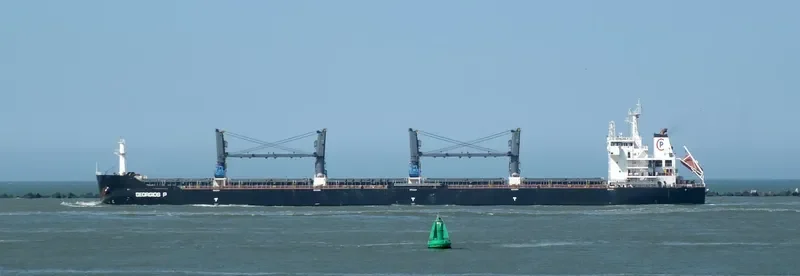 GEORGIOS P Bulk Carrier IMO 9476680 photo 2