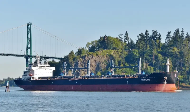 GEORGIOS P Bulk Carrier IMO 9476680 photo 10