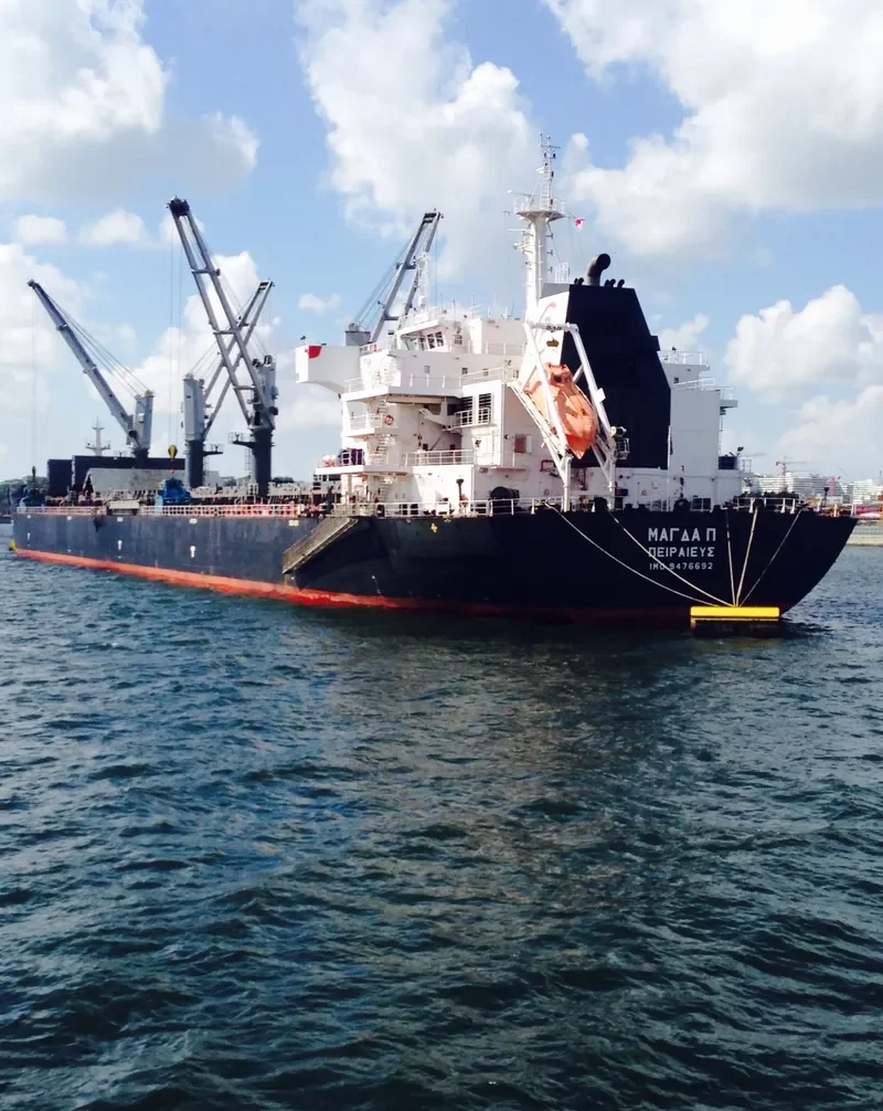 MAGDA P Bulk Carrier IMO 9476692 photo 2