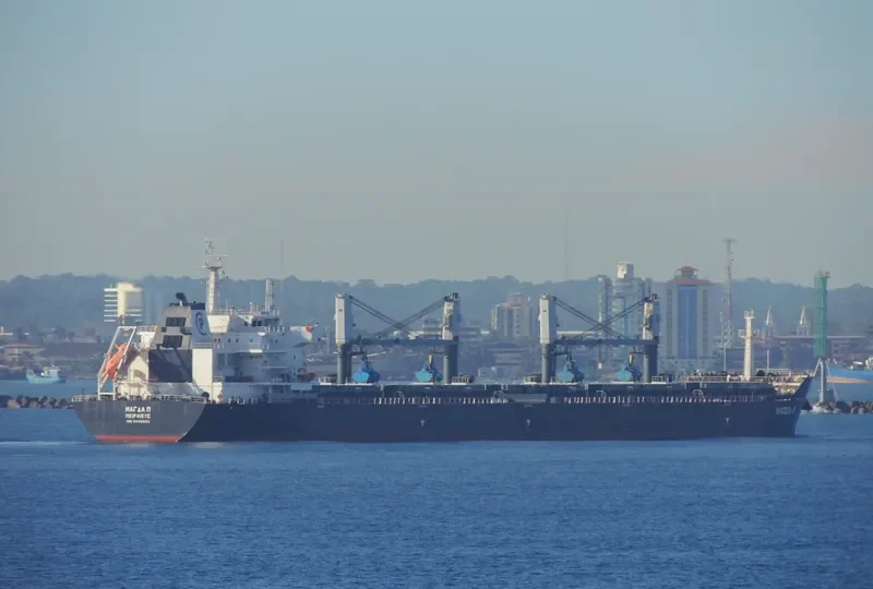 MAGDA P Bulk Carrier IMO 9476692 photo 5