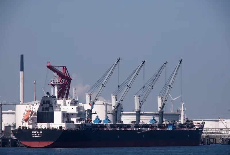 MAGDA P Bulk Carrier IMO 9476692 photo 6