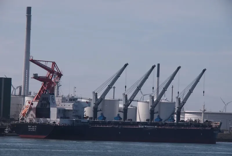 MAGDA P Bulk Carrier IMO 9476692 photo 8