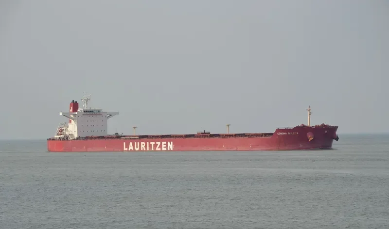 KORONA D Bulk Carrier IMO 9476836 photo 6