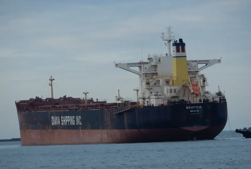 SEATTLE Bulk Carrier IMO 9476848 photo 10