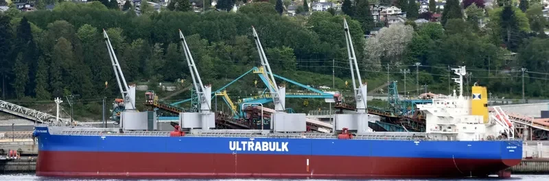 ULTRA GUJARAT Bulk Carrier IMO 9476927 photo 3