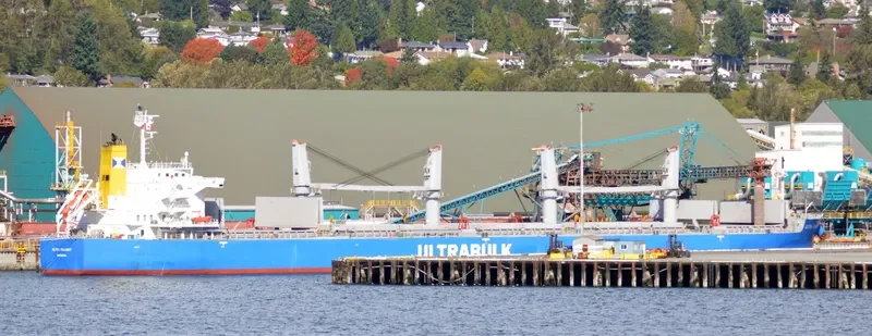 ULTRA GUJARAT Bulk Carrier IMO 9476927 photo 6