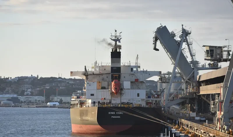 KING COAL Bulk Carrier IMO 9476939 photo 5