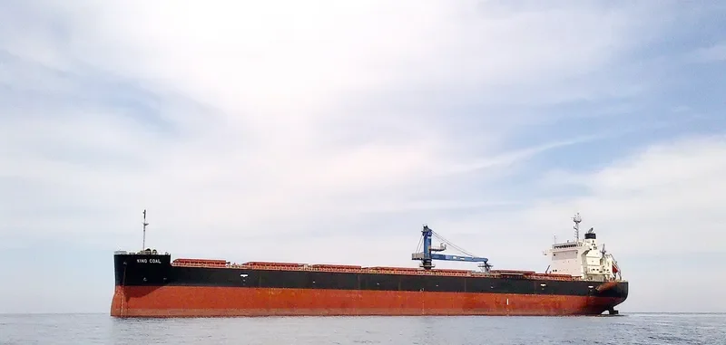 KING COAL Bulk Carrier IMO 9476939 photo 6