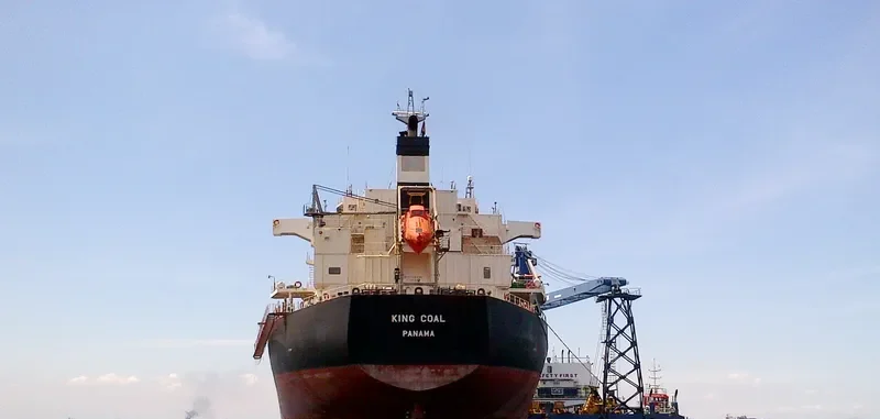 KING COAL Bulk Carrier IMO 9476939 photo 9