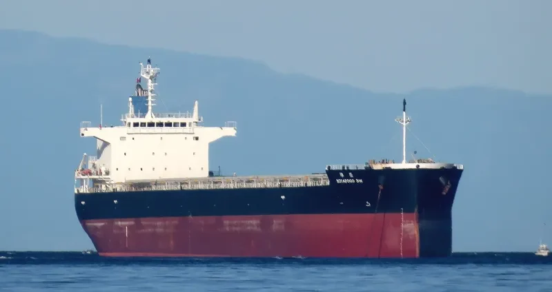 MODEST SW Bulk Carrier IMO 9476941