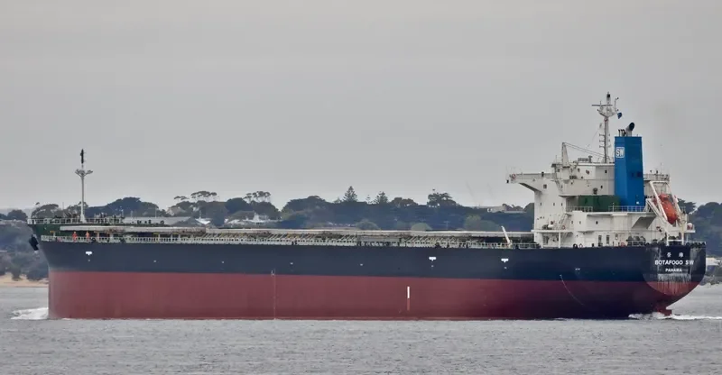 MODEST SW Bulk Carrier IMO 9476941 photo 5