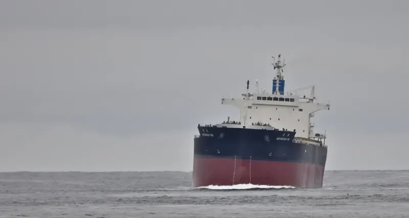 MODEST SW Bulk Carrier IMO 9476941 photo 7