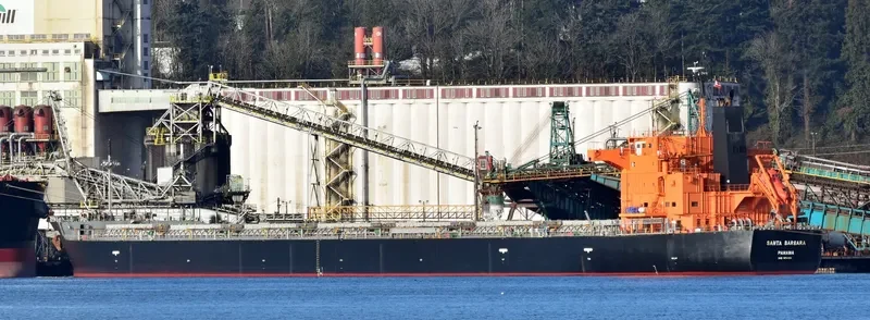 SANTA BARBARA Bulk Carrier IMO 9476953 photo 5