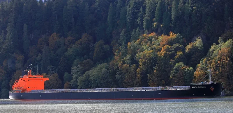 SANTA BARBARA Bulk Carrier IMO 9476953 photo 8