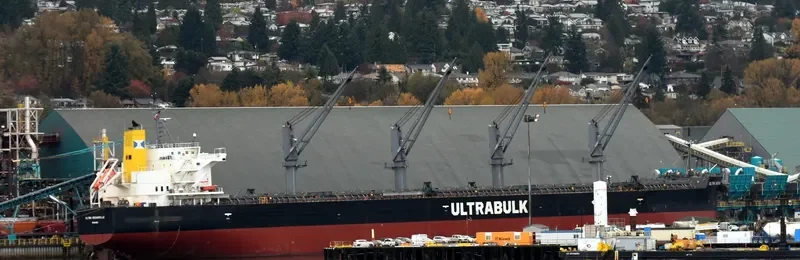 ULTRA ROCANVILLE Bulk Carrier IMO 9476965
