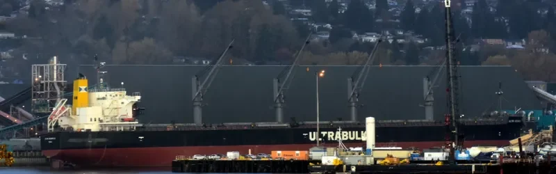 ULTRA ROCANVILLE Bulk Carrier IMO 9476965 photo 2