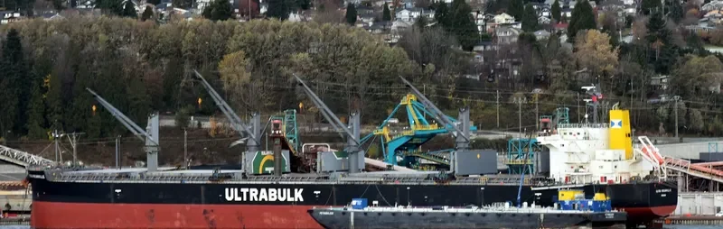 ULTRA ROCANVILLE Bulk Carrier IMO 9476965 photo 3