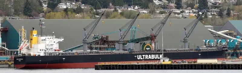 ULTRA ROCANVILLE Bulk Carrier IMO 9476965 photo 8