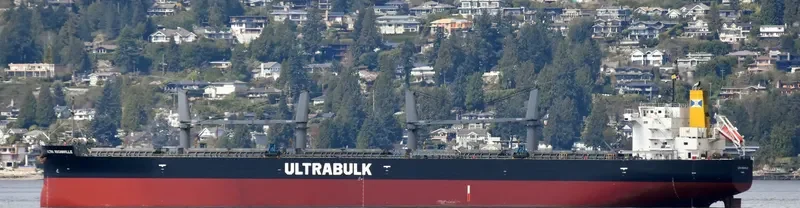 ULTRA ROCANVILLE Bulk Carrier IMO 9476965 photo 9